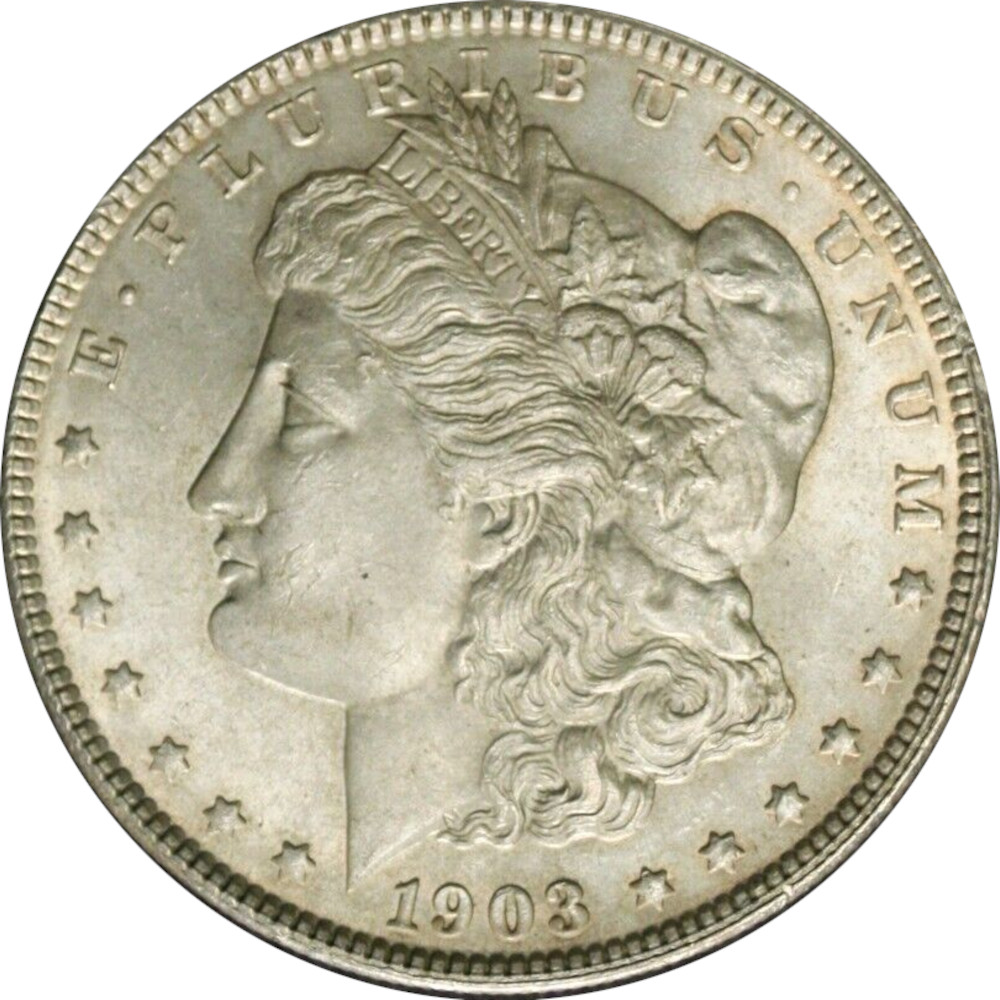 1903-$1-Morgan-Dollar-#8